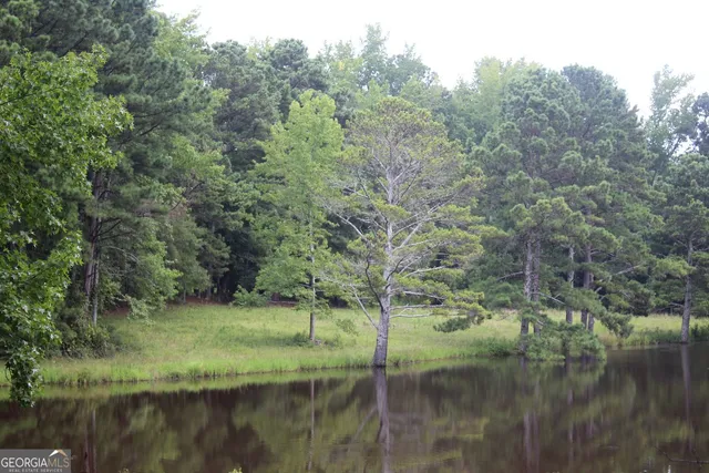 a view of backyard with green space