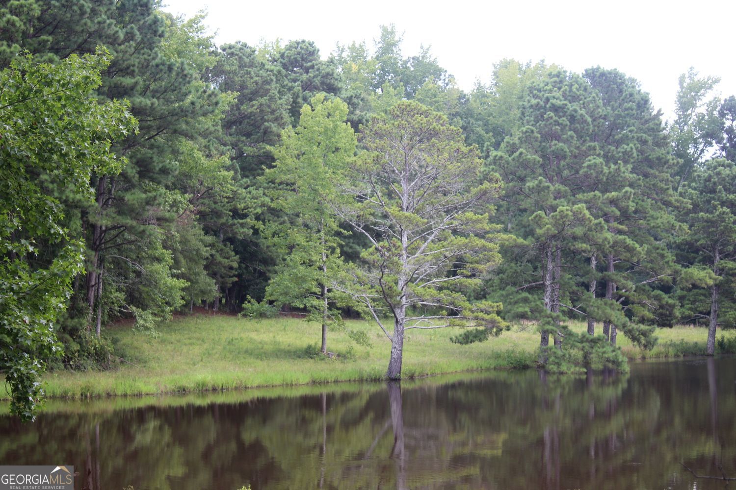 255 Barnett Road Hampton, GA 30228 - Photo 35 of 42