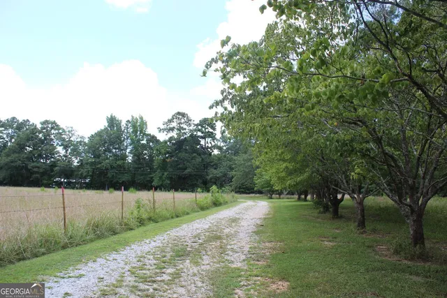 a view of outdoor space and yard