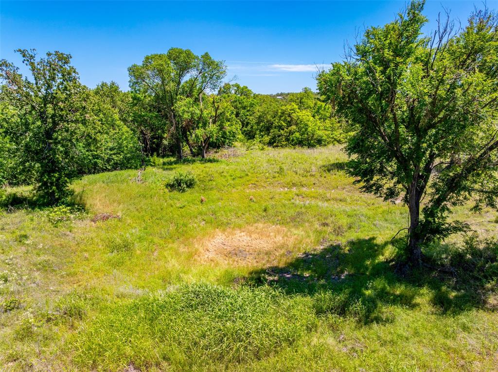 1874 County Road Springtown, TX 76082 - Photo 17 of 24 a view of yard with green space