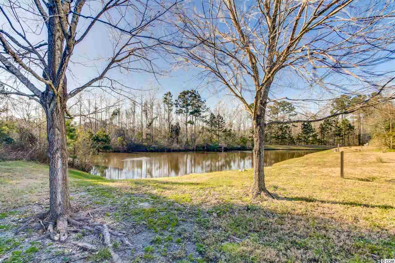 207 Marbella Drive Murrells Inlet, SC 29576 - Photo 24 of 30 Gallery Image 24
