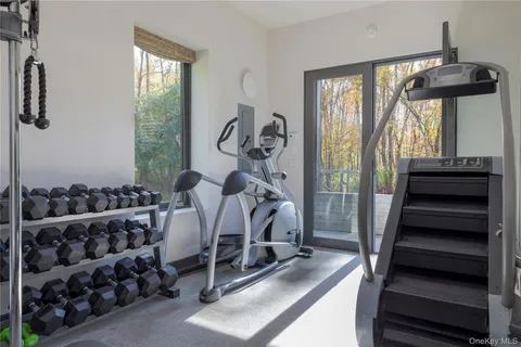 a view of a park with large trees
