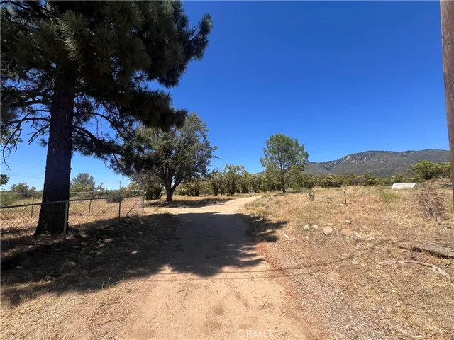 a view of a yard covered with snow on the side of the road