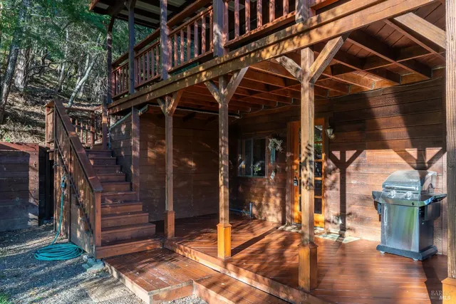 a view of a flower arrangement in backyard