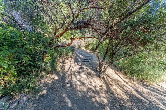 a view of a pathway with a yard