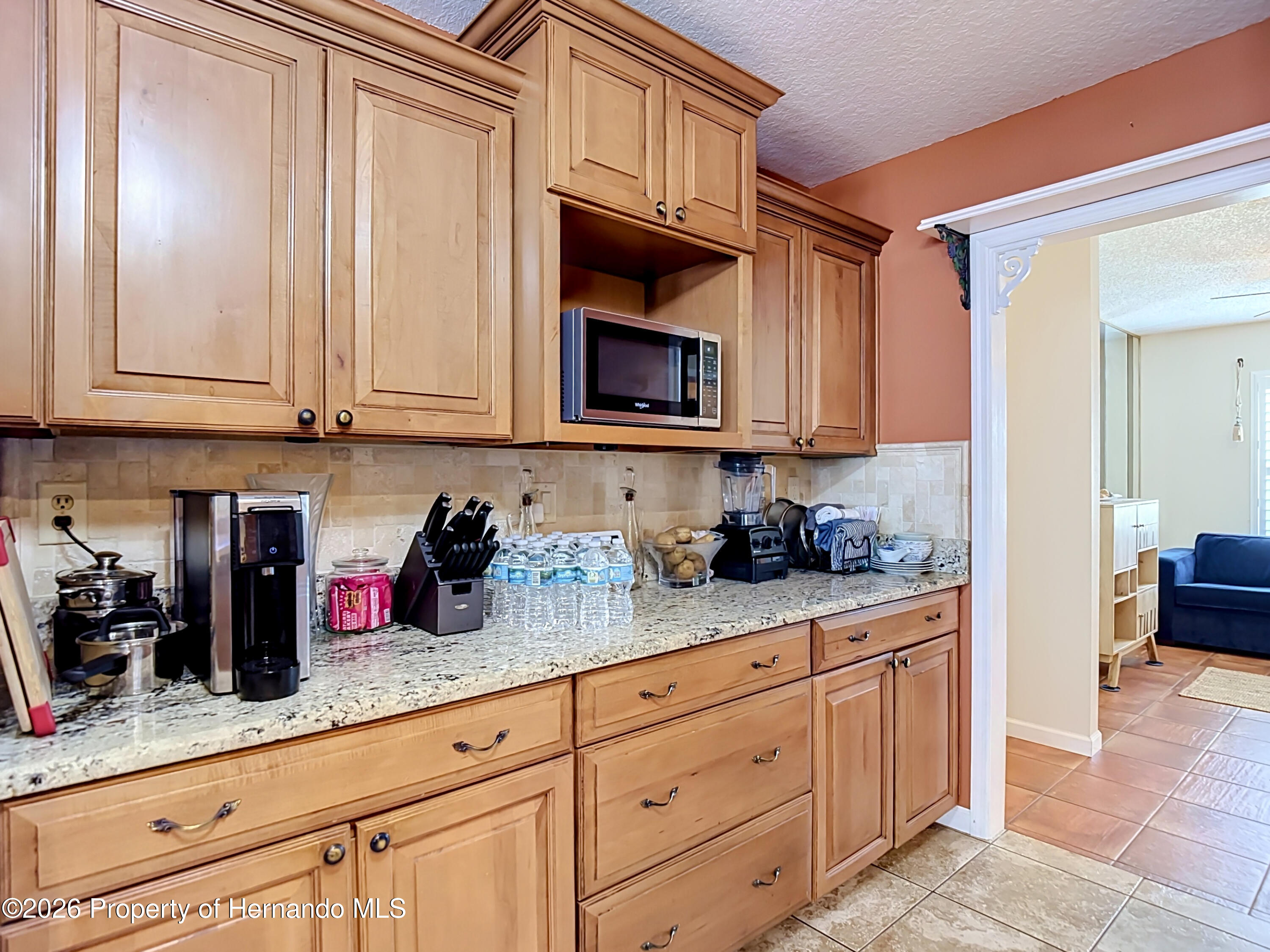 5223 Hamlet Circle Spring Hill, FL 34606 - Photo 19 of 48
