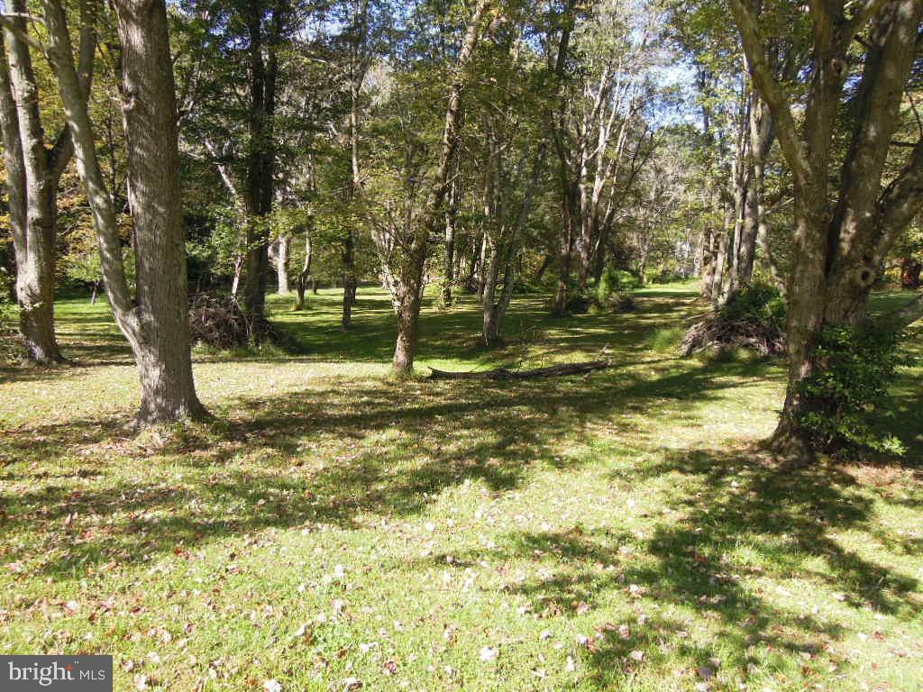 Beautiful Flat Lot