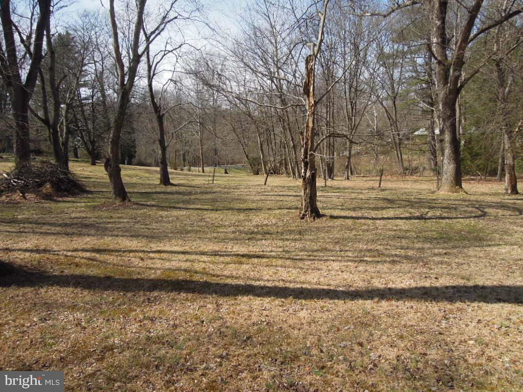 10080 Reed Lane Ellicott City, MD 21042 - Photo 2 of 11 Beautiful Lot!