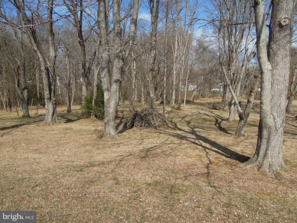 10080 Reed Lane Ellicott City, MD 21042 - Photo 3 of 11