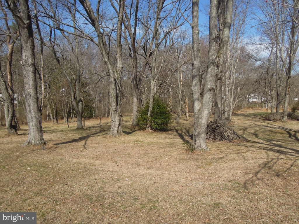 10080 Reed Lane Ellicott City, MD 21042 - Photo 4 of 11