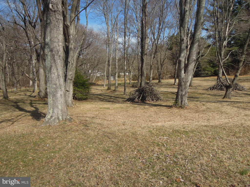 10080 Reed Lane Ellicott City, MD 21042 - Photo 5 of 11