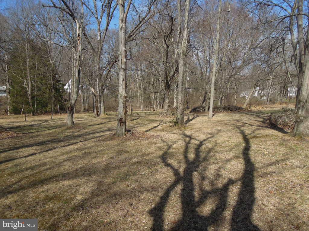 10080 Reed Lane Ellicott City, MD 21042 - Photo 9 of 11