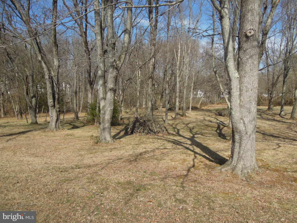 10080 Reed Lane Ellicott City, MD 21042 - Photo 10 of 11