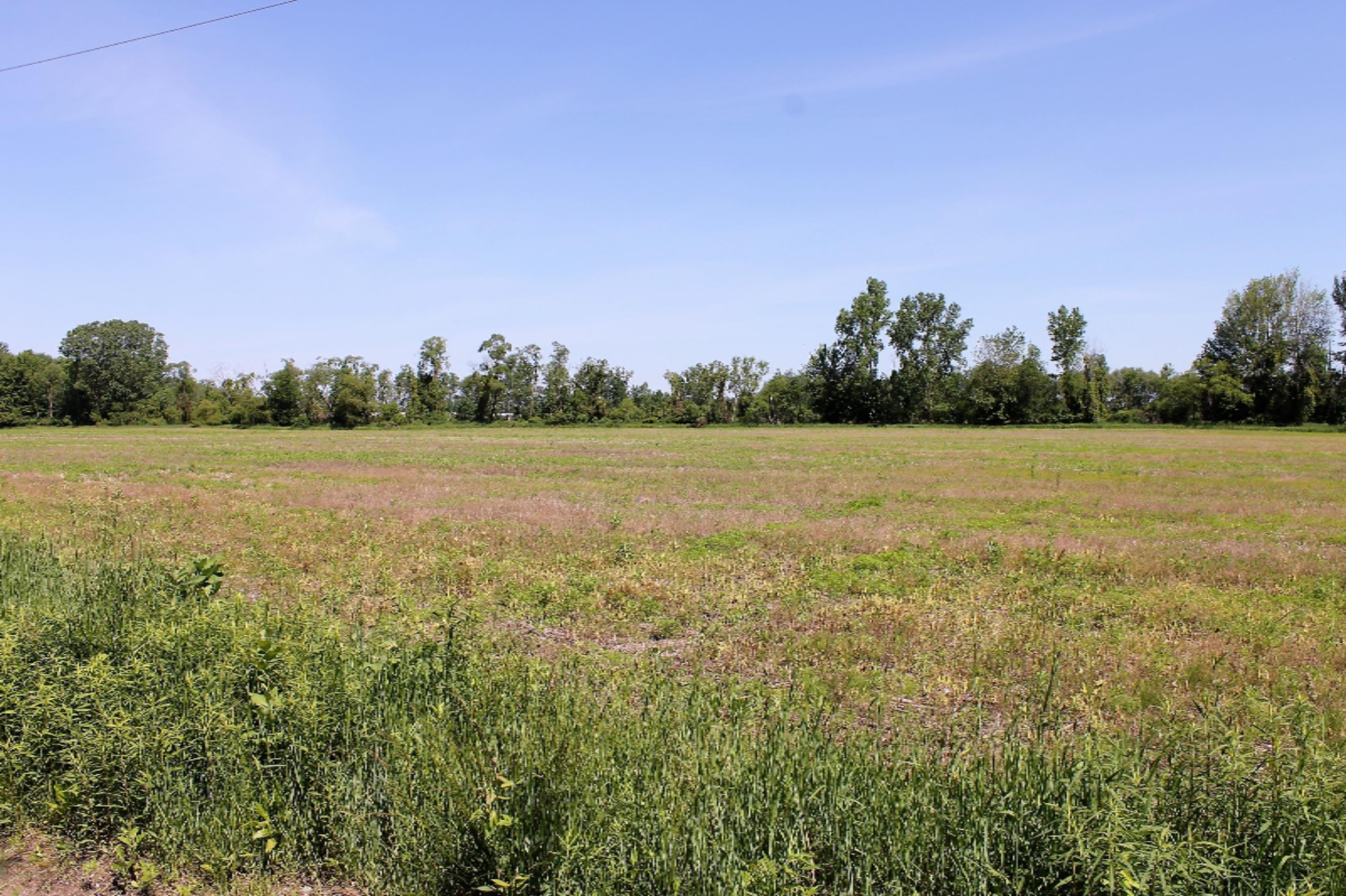 12932 Hall Road Ravenna, MI 49451 - Photo 4 of 5 IMG_4881