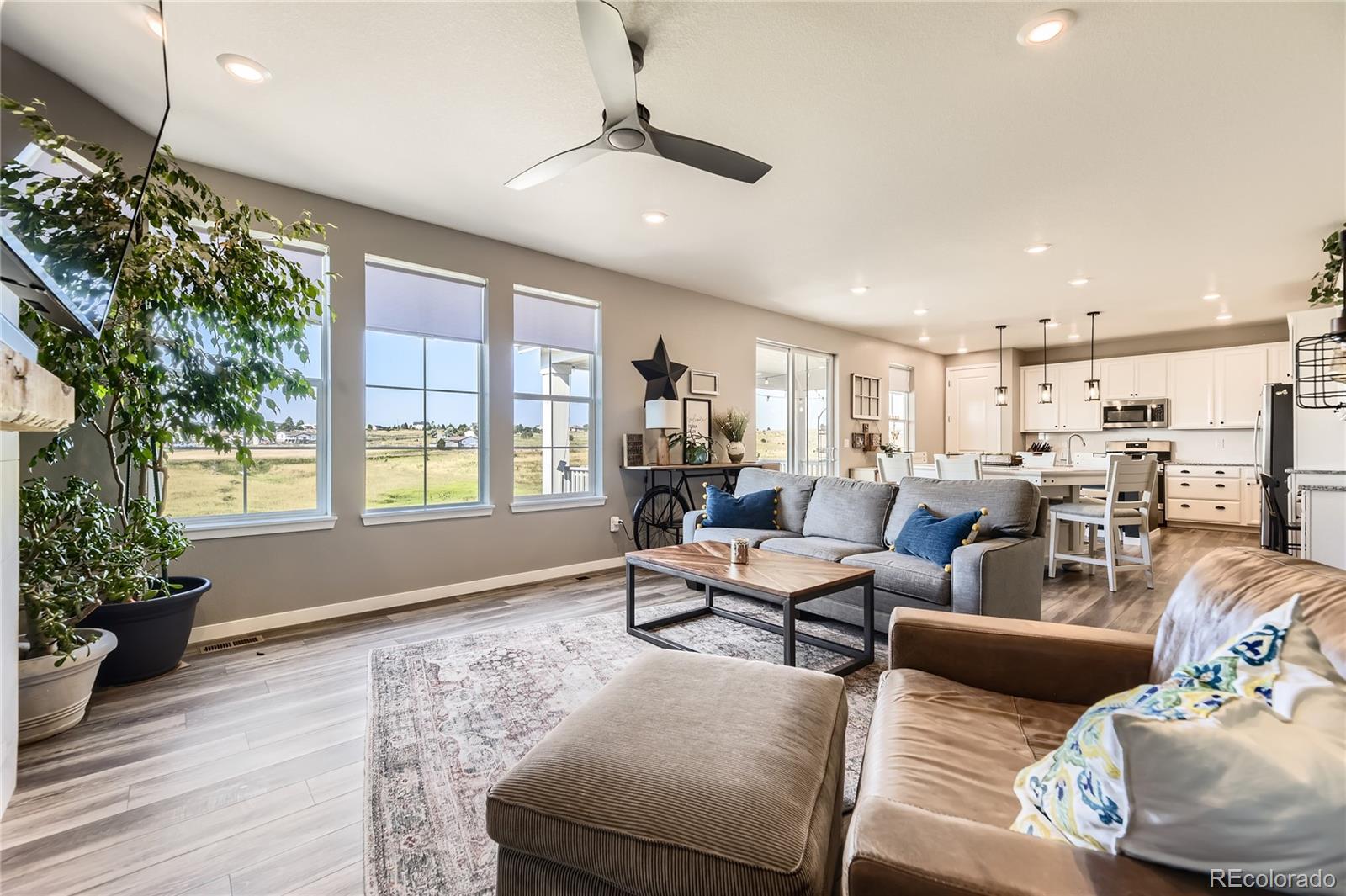 1182 Williams Loop Elizabeth, CO 80107 - Photo 9 of 42 a living room with furniture and a potted plant