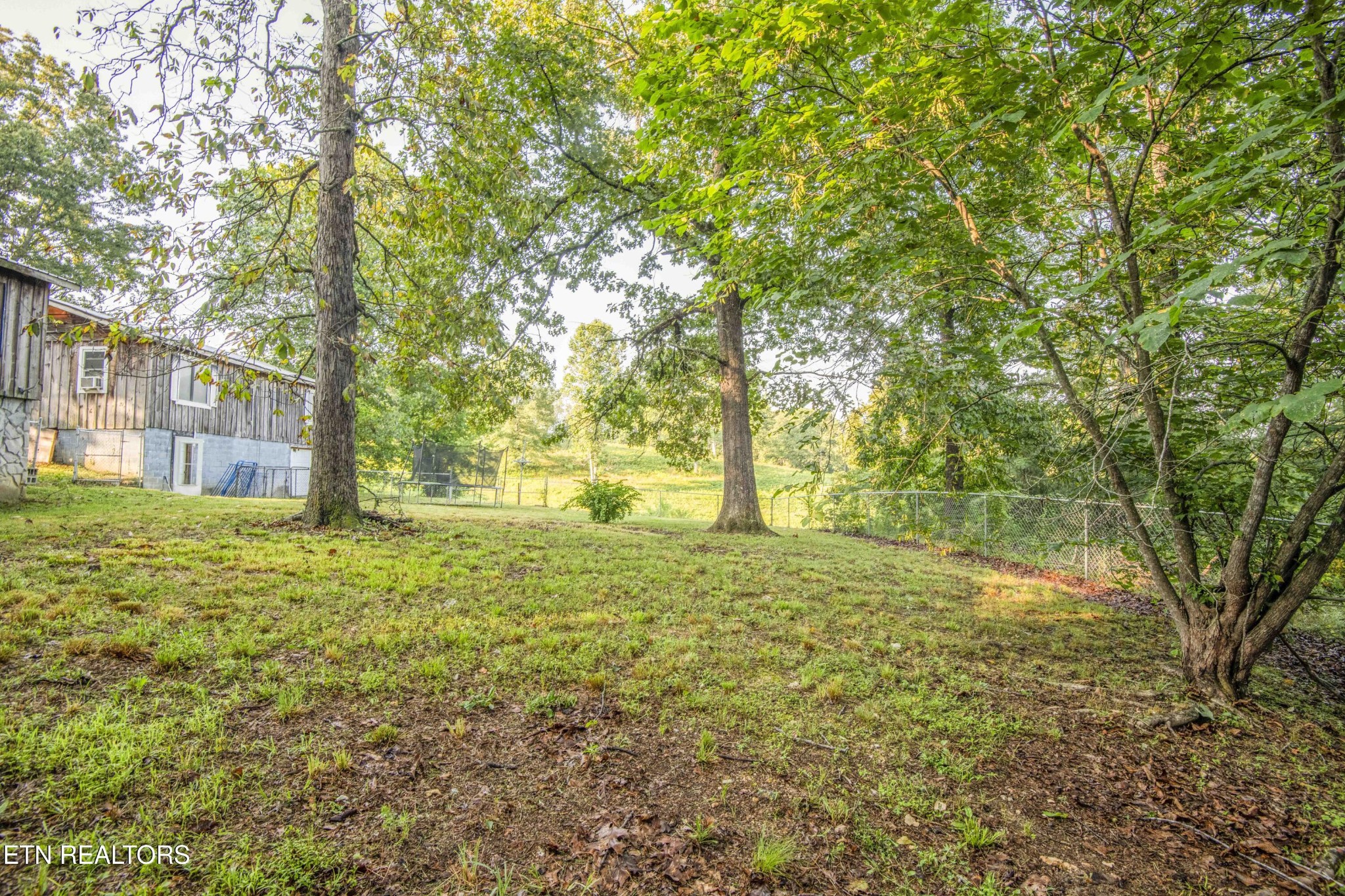 197 Wedgewood Lane Spring City, TN 37381 - Photo 16 of 57