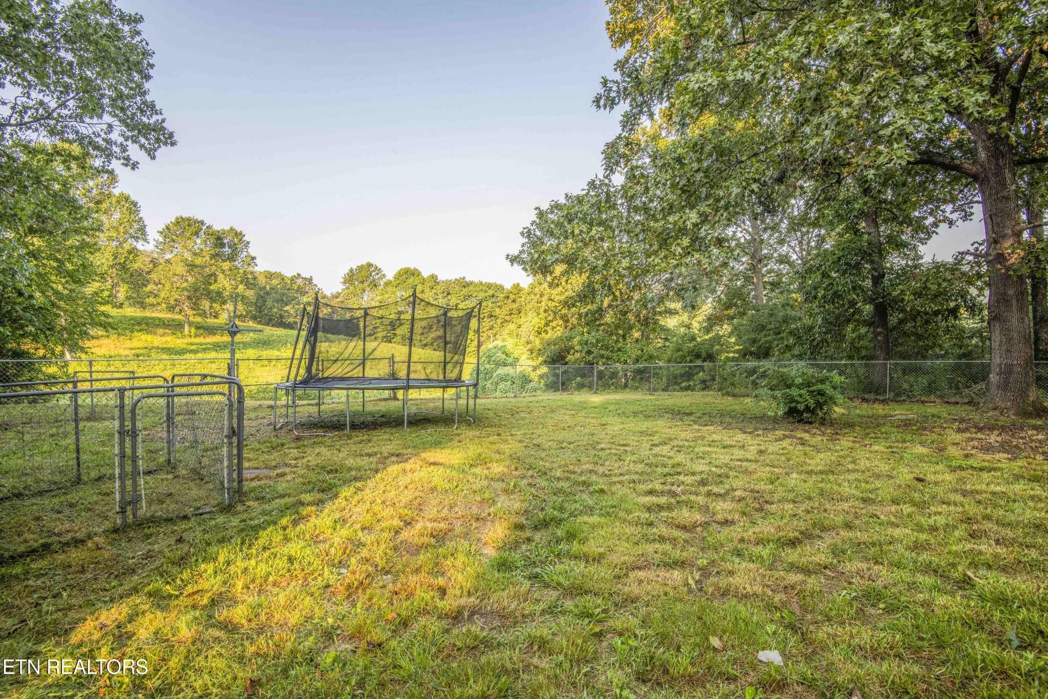 197 Wedgewood Lane Spring City, TN 37381 - Photo 19 of 57