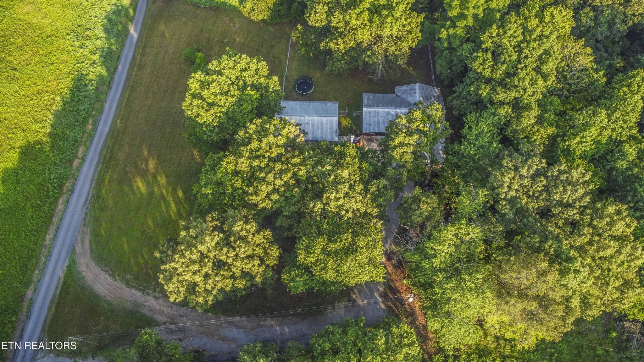 197 Wedgewood Lane Spring City, TN 37381 - Photo 8 of 57