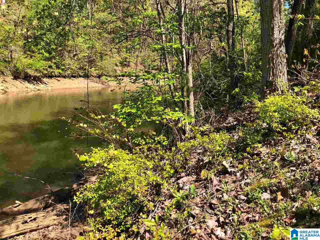 Roberts Circle, Unit 47 Wedowee, AL 36278 - Photo 2 of 3