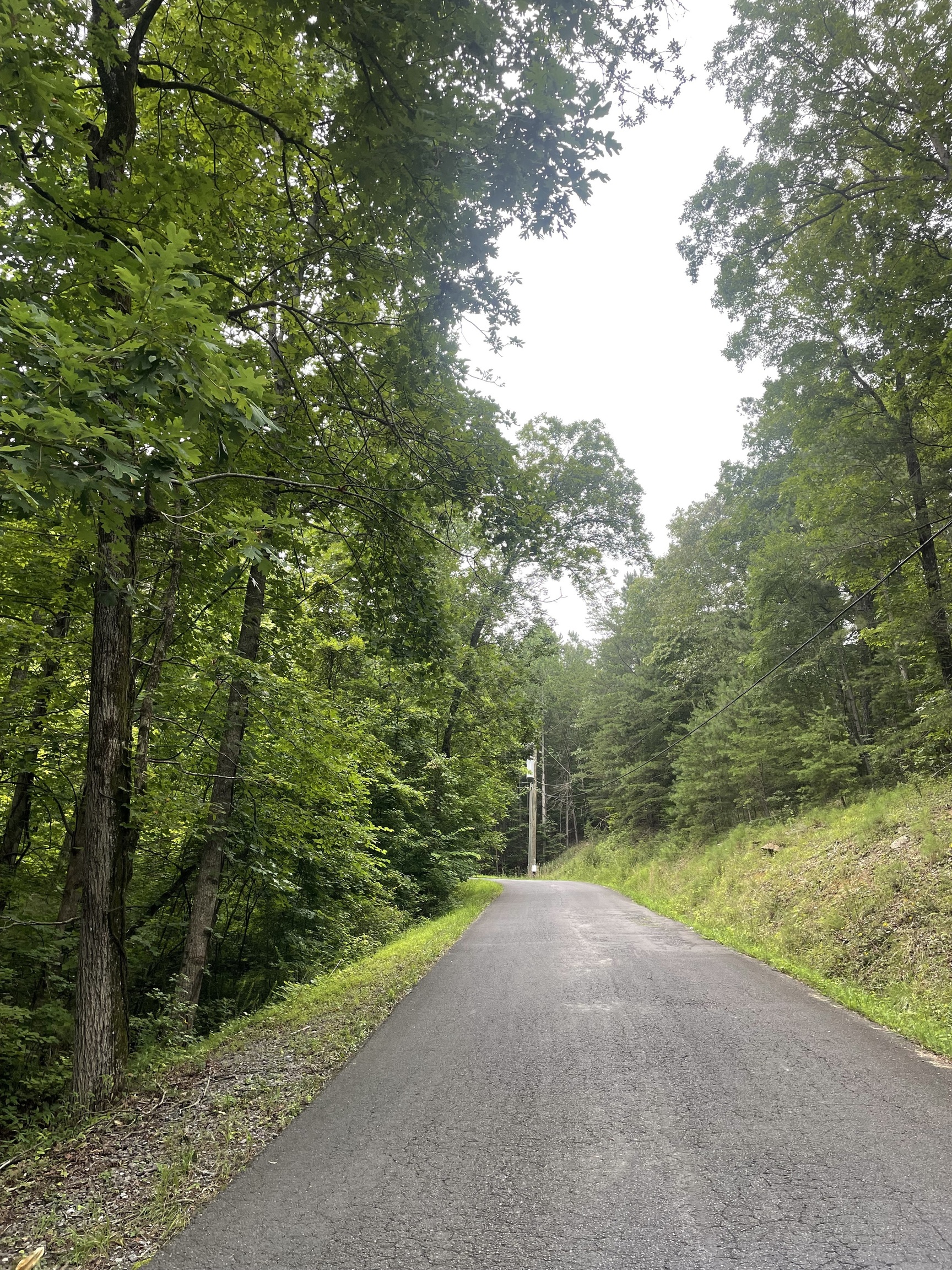 827 Monody Lane Ranger, GA 30734 - Photo 2 of 35 a view of a road with a yard