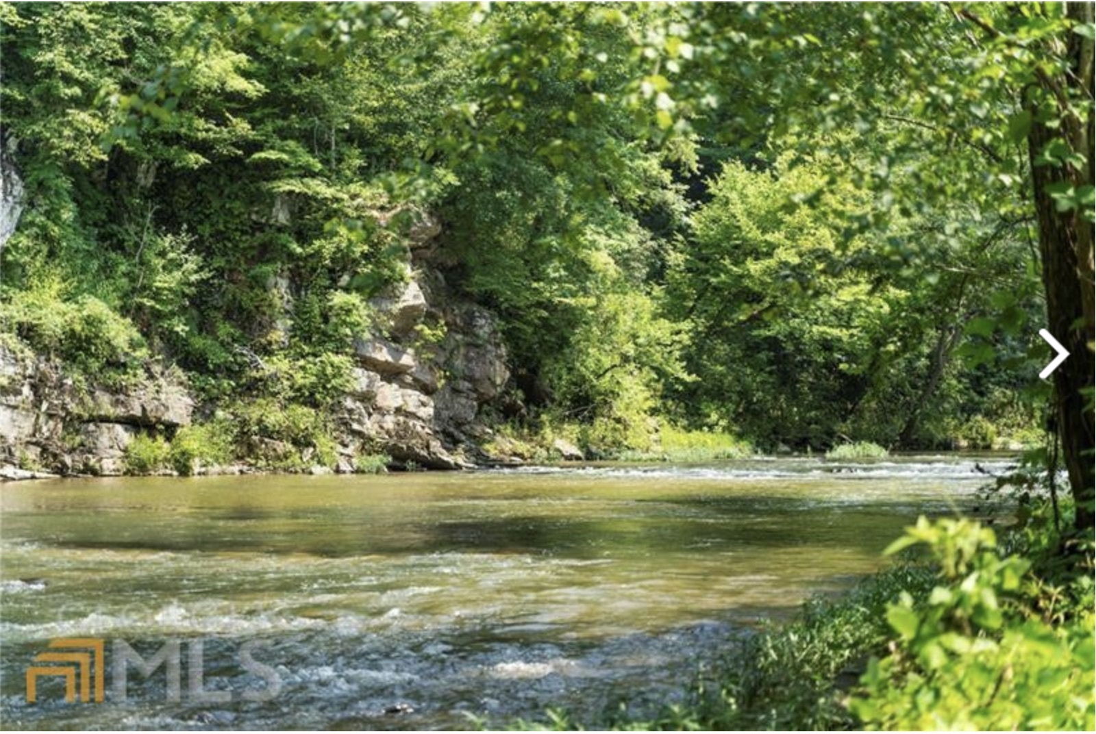 827 Monody Lane Ranger, GA 30734 - Photo 27 of 35 a view of a lake with a yard