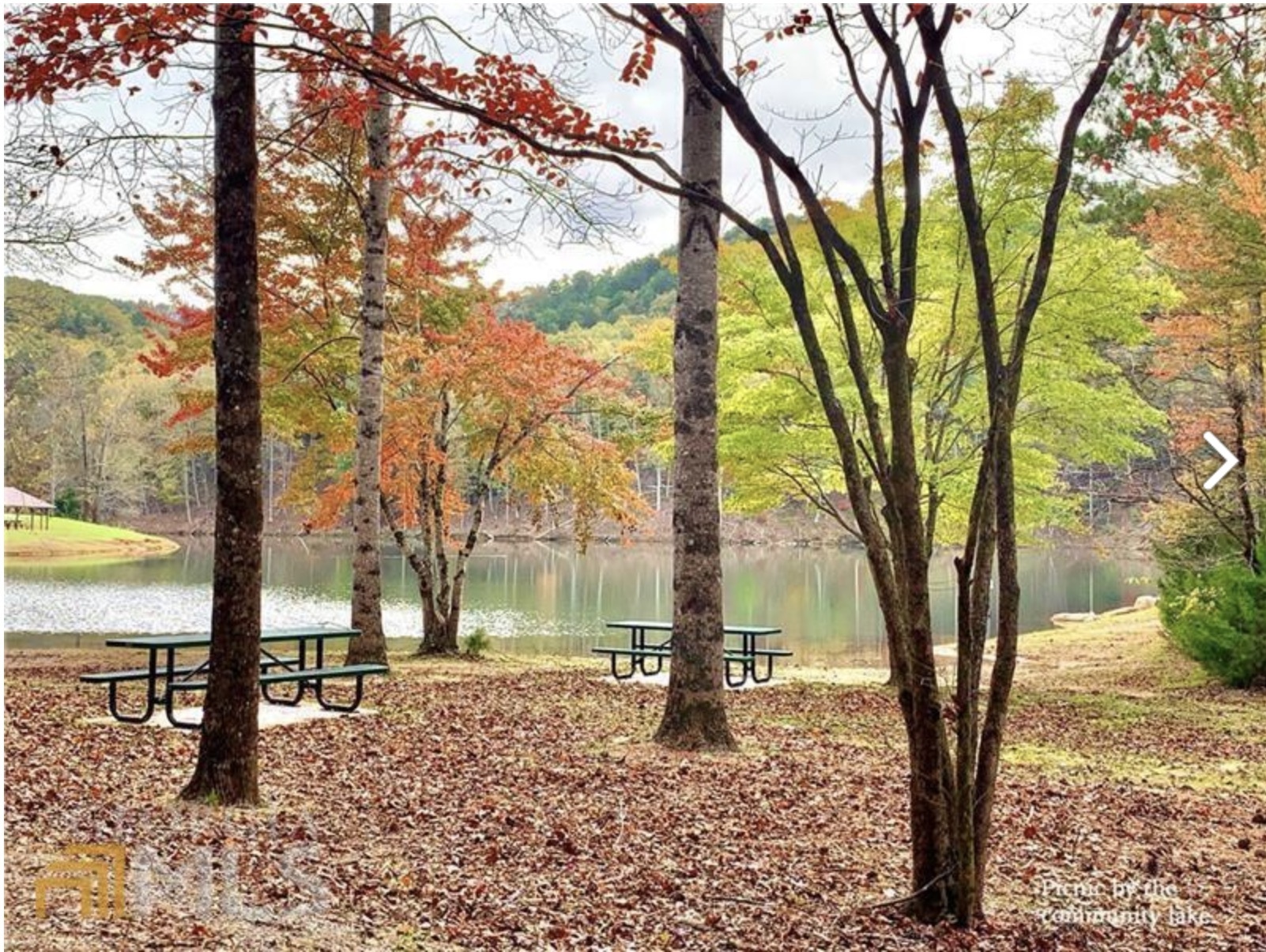827 Monody Lane Ranger, GA 30734 - Photo 32 of 35 a view of a yard with a tree
