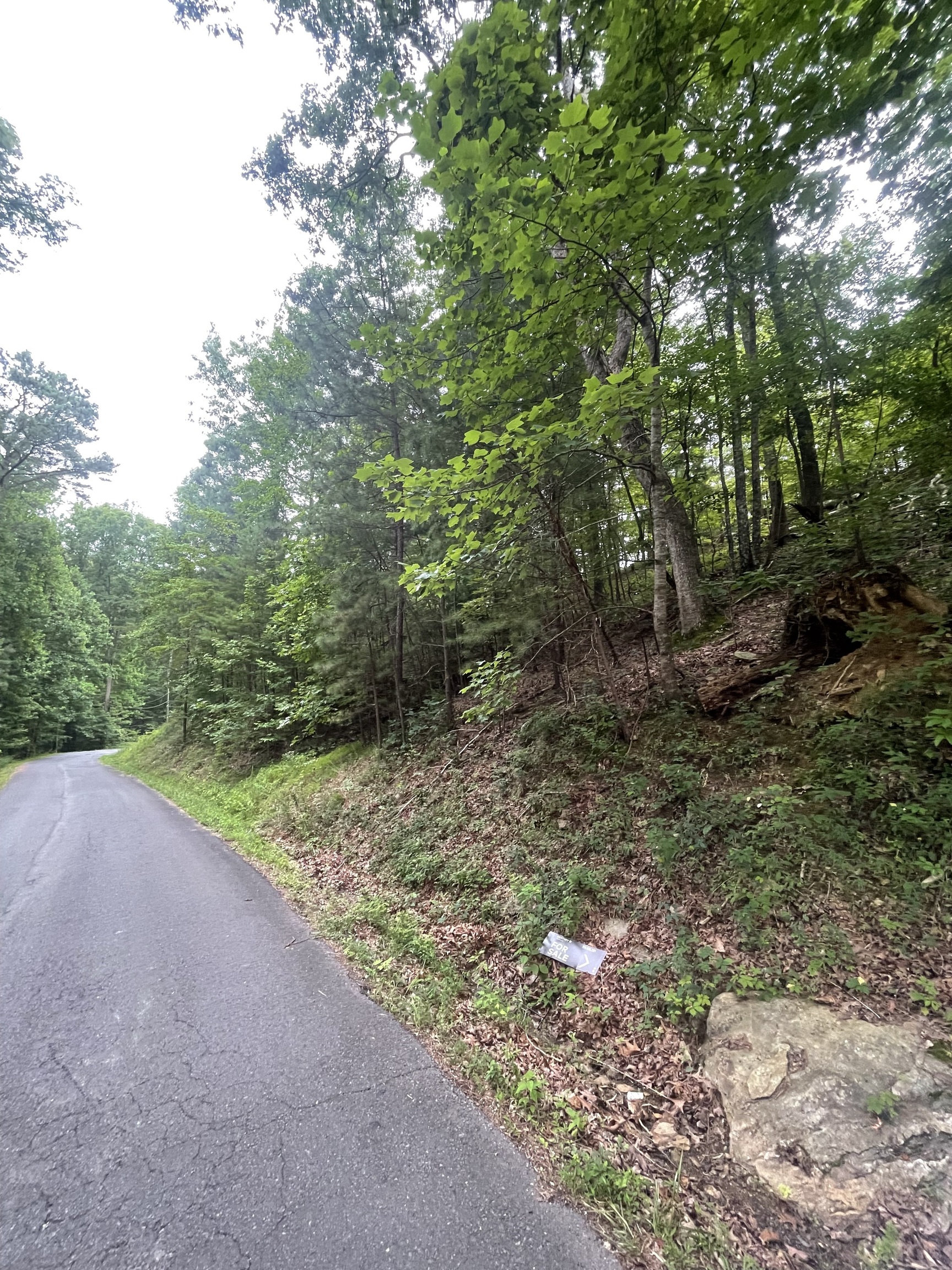827 Monody Lane Ranger, GA 30734 - Photo 4 of 35 a view of a field with plants and trees