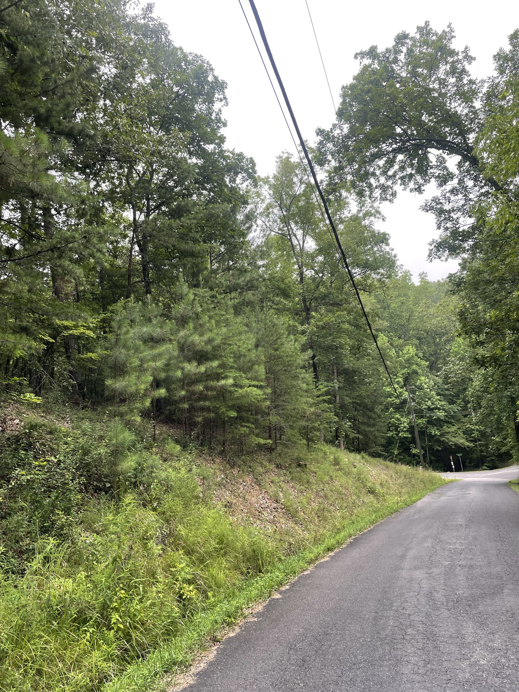 827 Monody Lane Ranger, GA 30734 - Photo 5 of 35 a view of a yard with plants