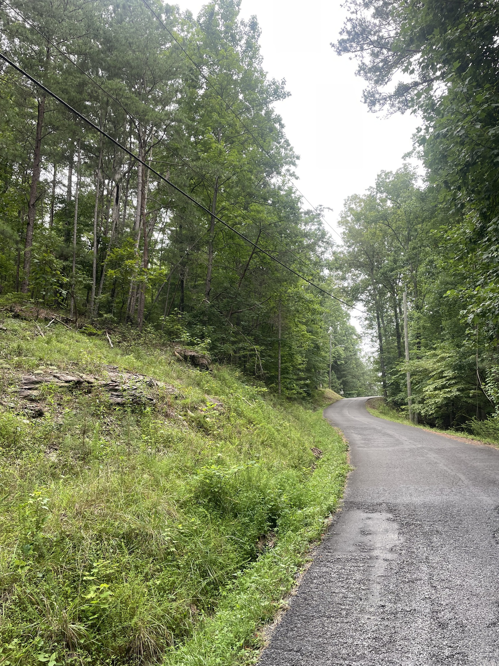 827 Monody Lane Ranger, GA 30734 - Photo 6 of 35 a view of a backyard