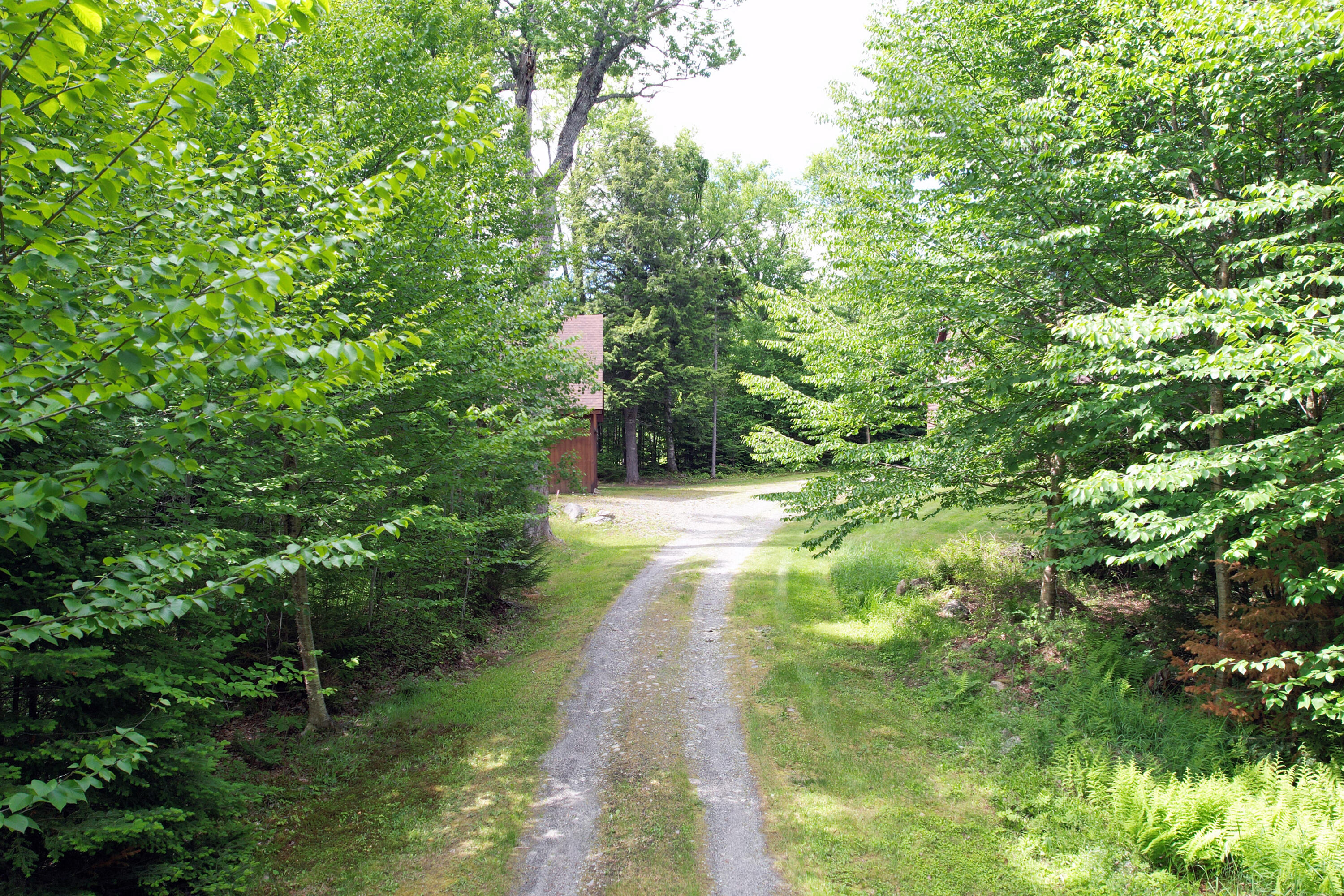 651 Baker Brook Point Road Rockwood, ME 04478 - Photo 51 of 54 DSC_0941MooseheadImages-TWillard-Drive