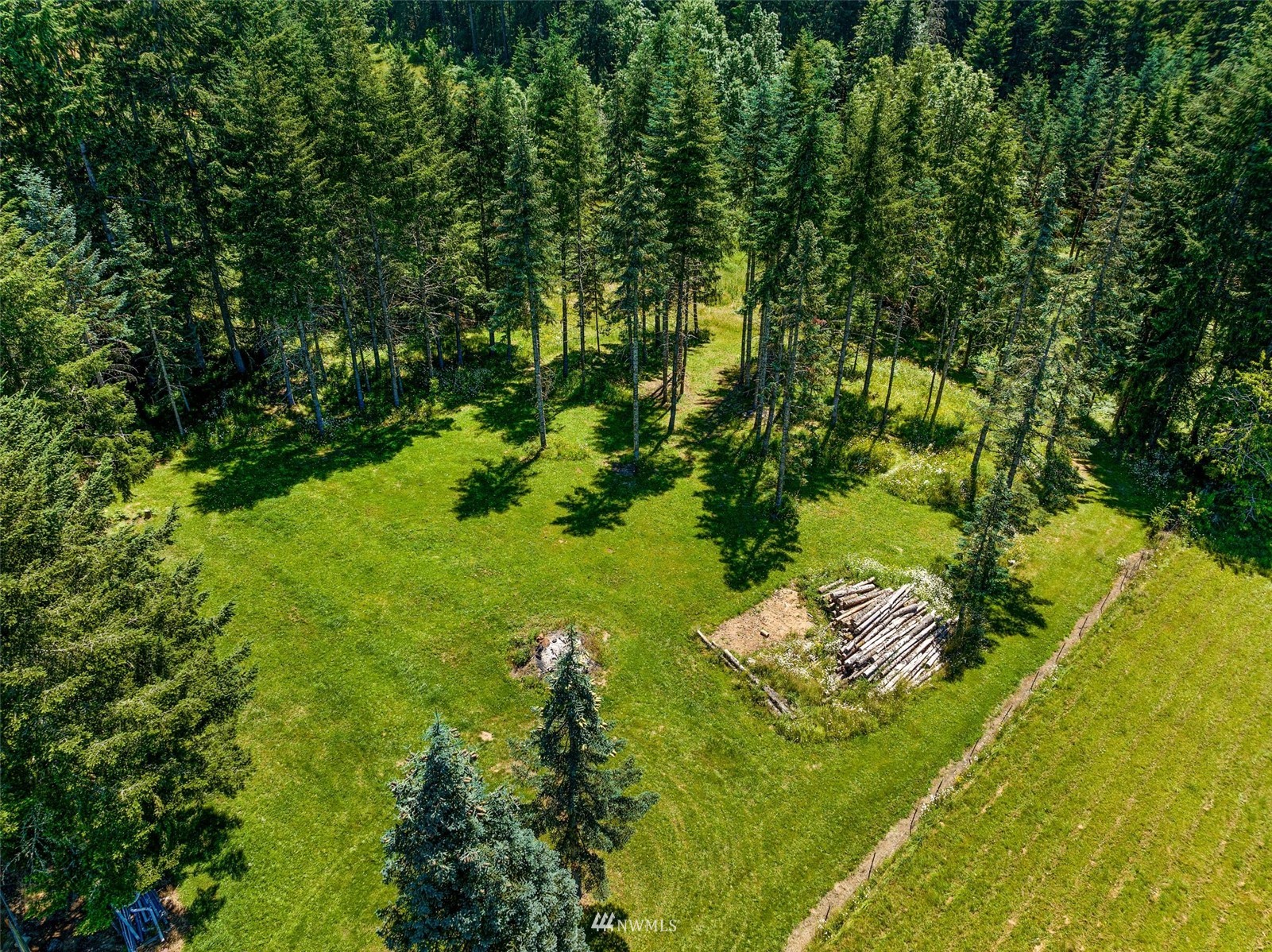 572 Rhoades Road Winlock, WA 98596 - Photo 35 of 35 a lush green forest with lots of trees