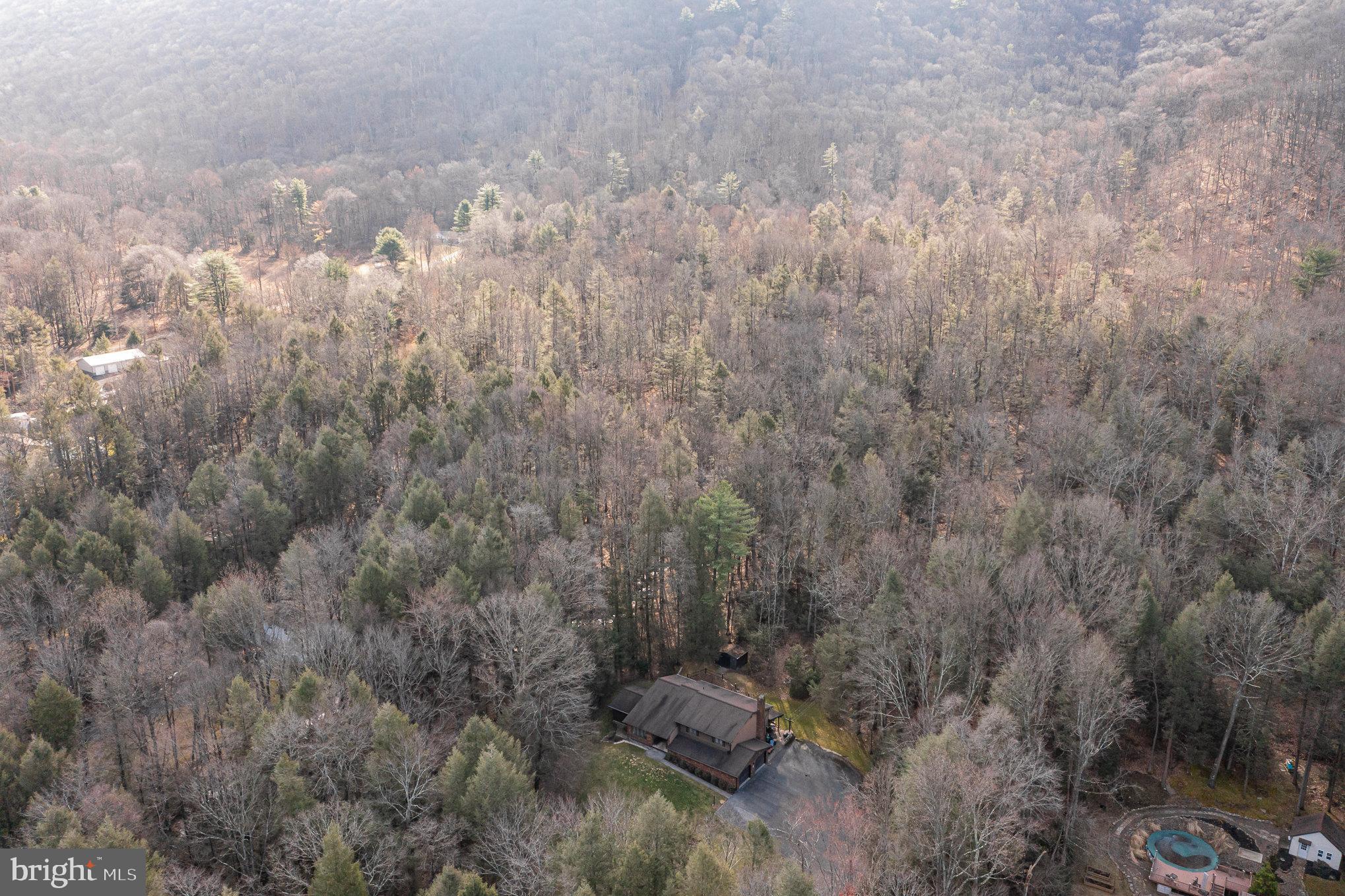 48 Turnpike Road Ashland, PA 17921 - Photo 53 of 60 a view of a forest with trees in back