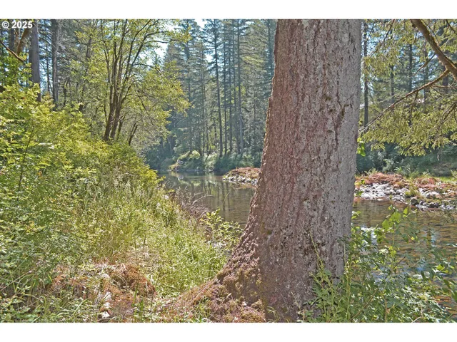 $299,900 | 30703 Northeast Olson Road, Yacolt, WA 98675