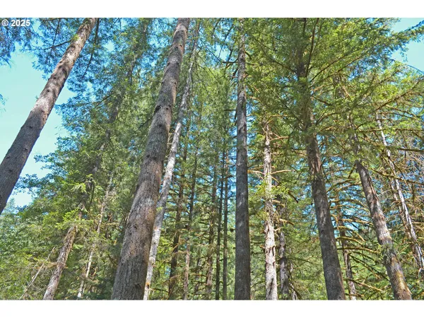 $274,900 | 30703 Northeast Olson Road, Yacolt, WA 98675