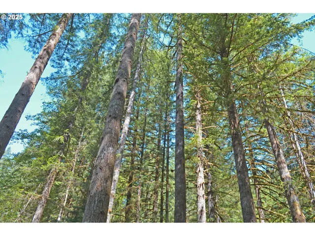 $299,900 | 30703 Northeast Olson Road, Yacolt, WA 98675