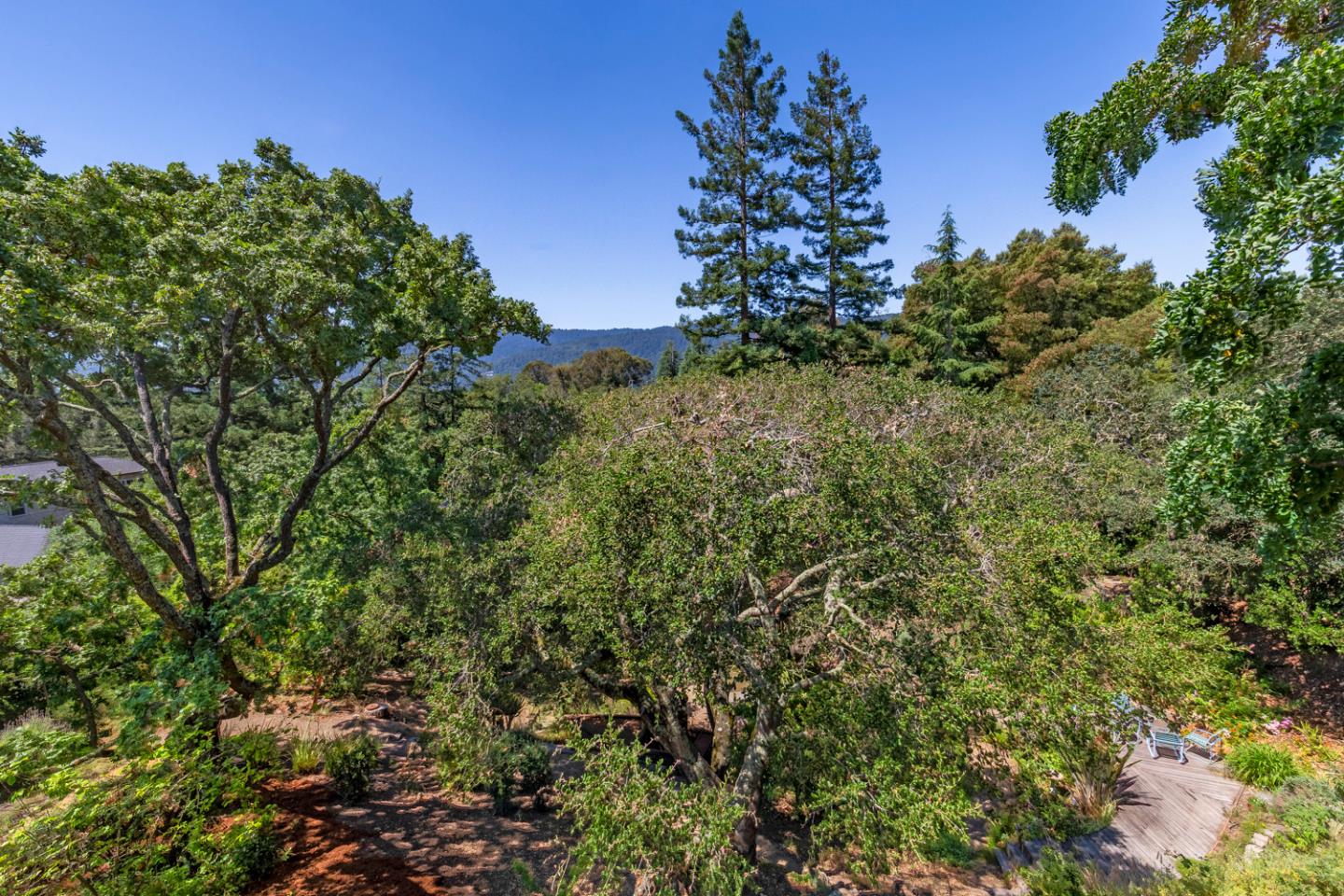 144 Alta Mesa Road Woodside, CA 94062 - Photo 4 of 13