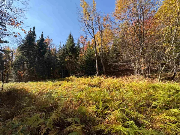 $36,500 | 0 Baird Road, West Burke, VT 05871