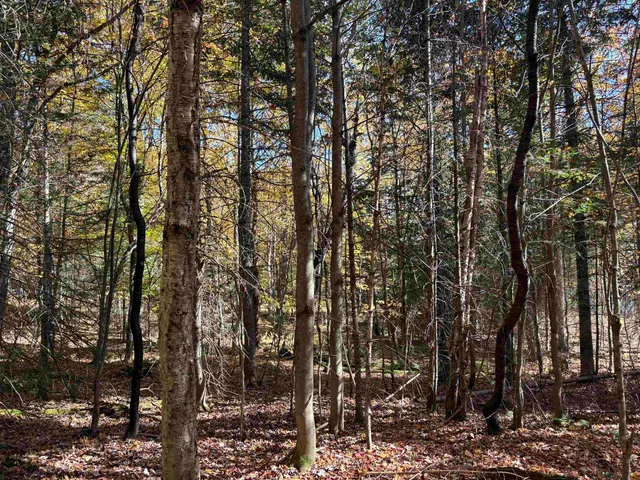 $39,900 | 0 Baird Road, West Burke, VT 05871