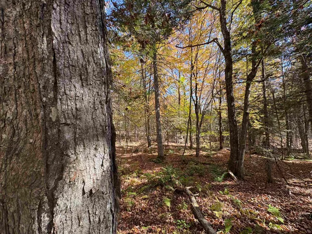 $39,900 | 0 Baird Road, West Burke, VT 05871