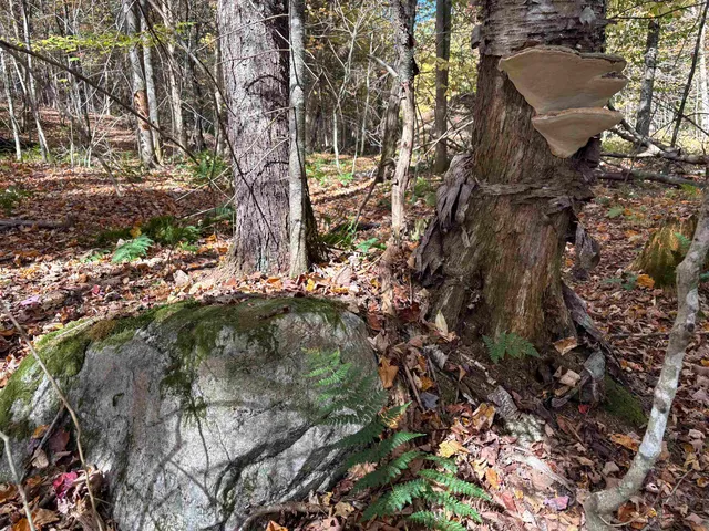 $39,900 | 0 Baird Road, West Burke, VT 05871