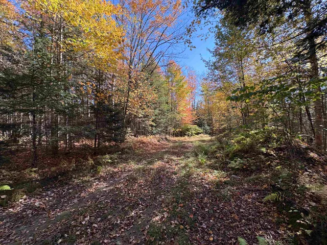 $39,900 | 0 Baird Road, West Burke, VT 05871
