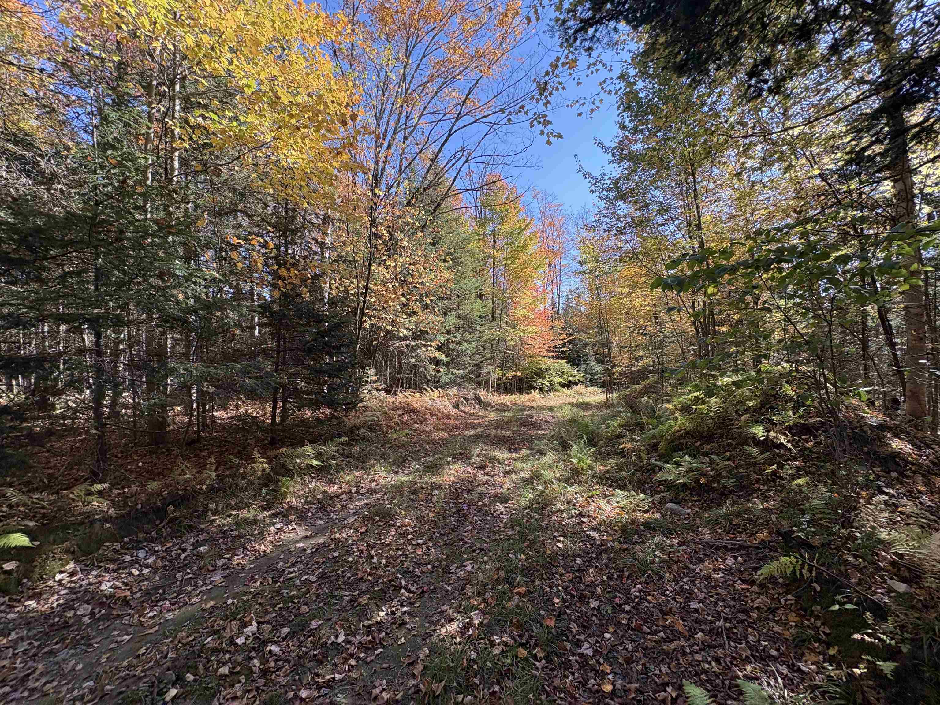 0 Baird Road West Burke, VT 05871 - Photo 16 of 21