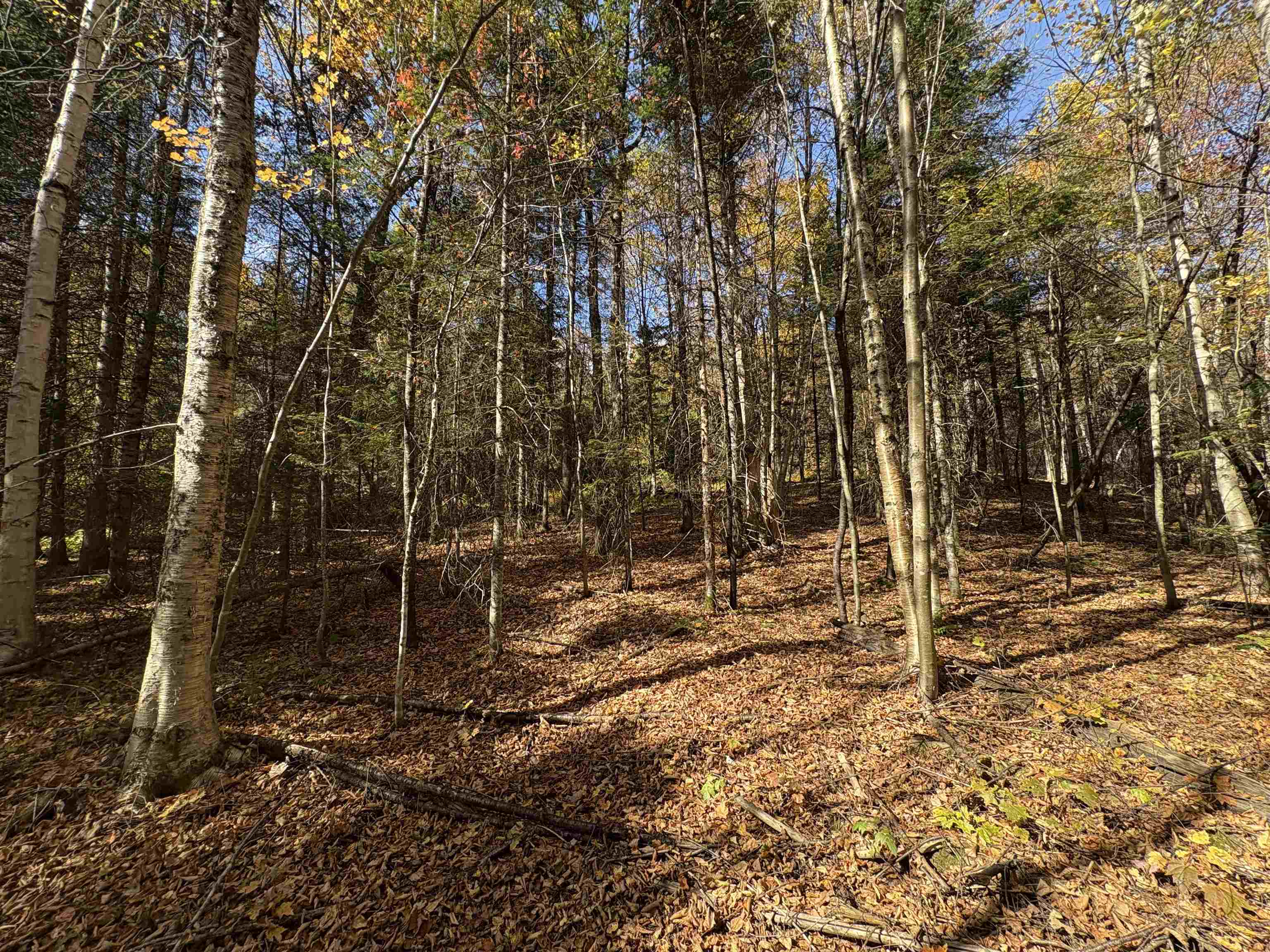 0 Baird Road West Burke, VT 05871 - Photo 20 of 21