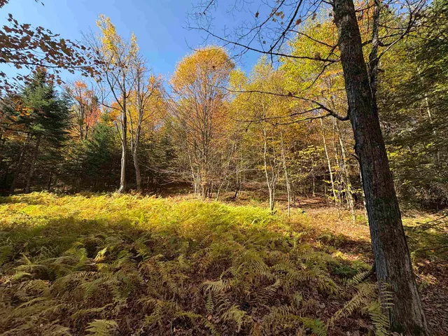 $39,900 | 0 Baird Road, West Burke, VT 05871