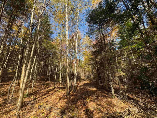 $39,900 | 0 Baird Road, West Burke, VT 05871