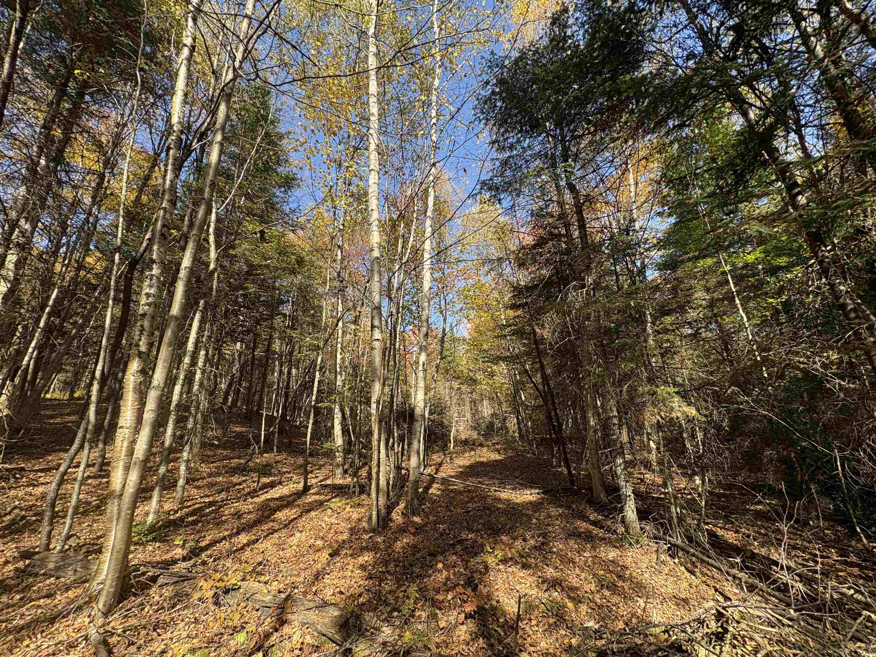 0 Baird Road West Burke, VT 05871 - Photo 21 of 21