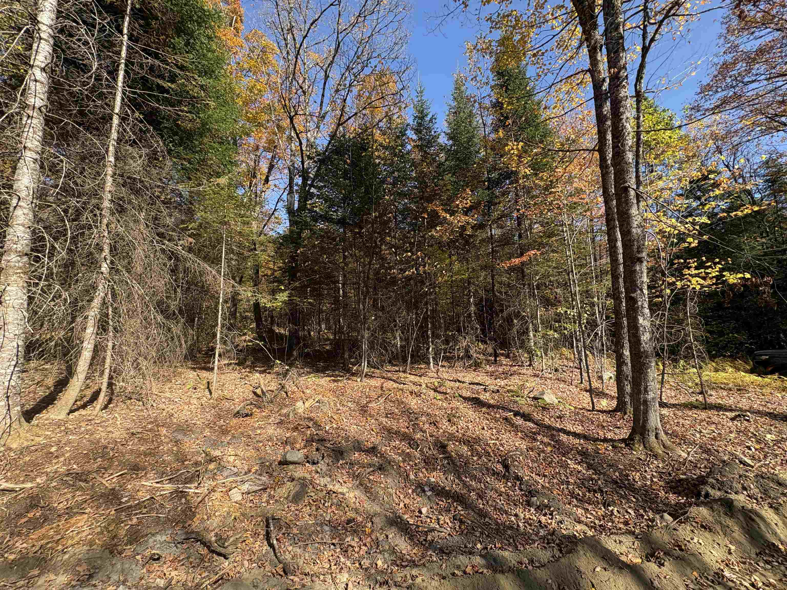 0 Baird Road West Burke, VT 05871 - Photo 5 of 21