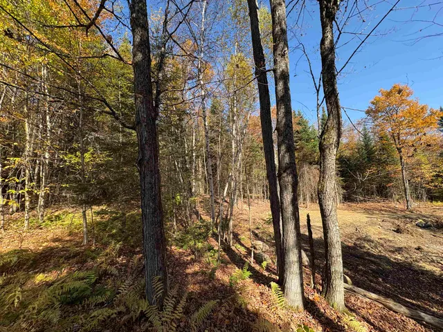 $39,900 | 0 Baird Road, West Burke, VT 05871