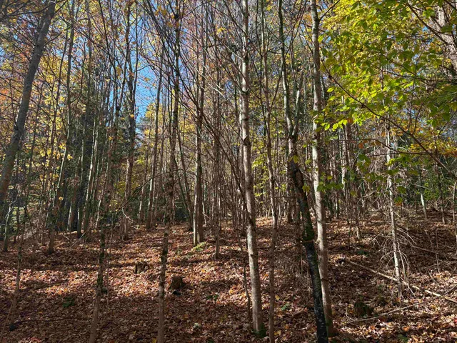 $39,900 | 0 Baird Road, West Burke, VT 05871