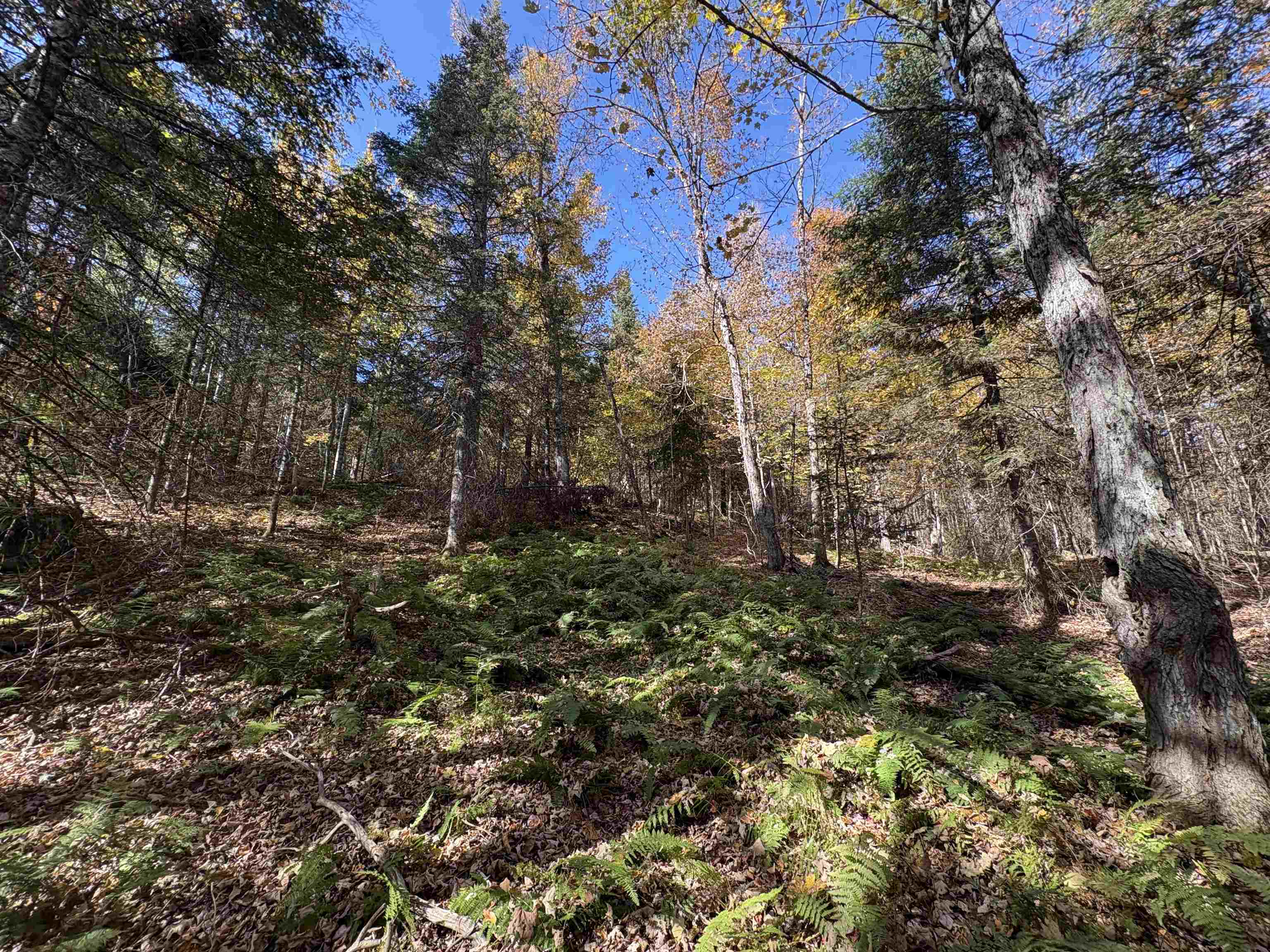 0 Baird Road West Burke, VT 05871 - Photo 9 of 21